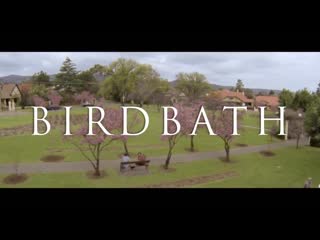 1 birdbath (2013) aaron nassau